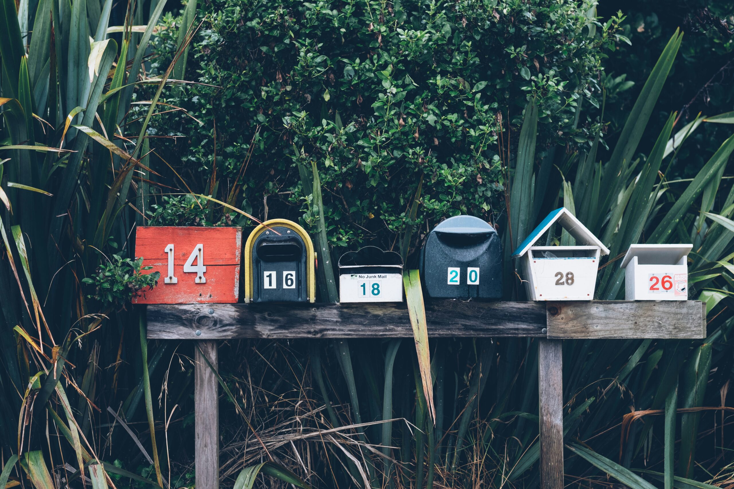 A row of mailboxes on a wooden rail in front of a forest scene.